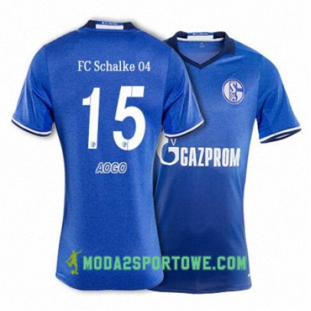 Koszulka FC Schalke 04 AOGO 15 Domowe Stroje Piłkarskie 2017/18 Krótki Rękaw