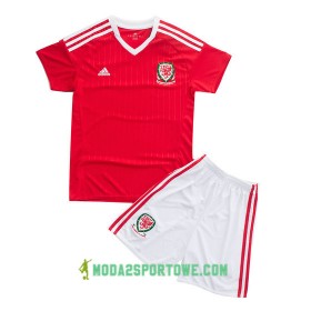 Koszulka Walia Dziecięcy Domowe Stroje Piłkarskie Euro 2016