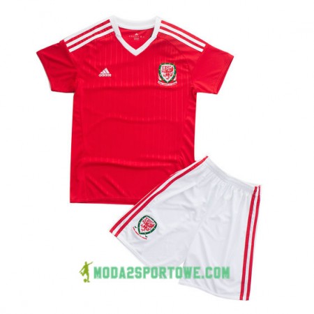 Koszulka Walia Dziecięcy Domowe Stroje Piłkarskie Euro 2016