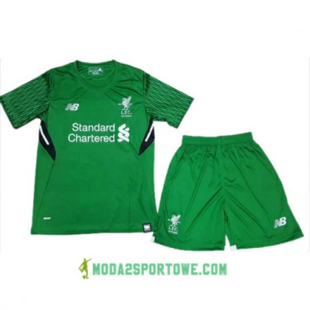 Koszulka Liverpool Dziecięcy Bramkarska Domowe Stroje Piłkarskie 2017/18 Krótki Rękaw